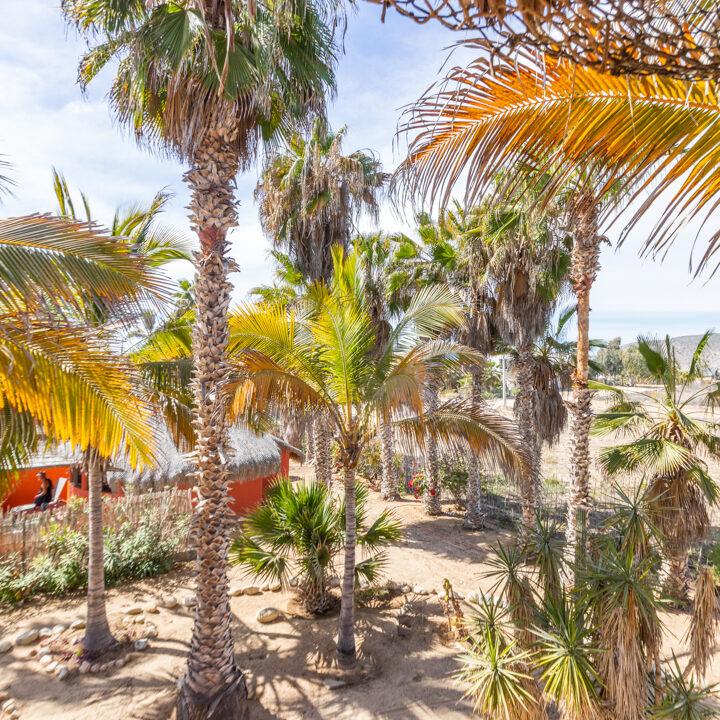 Casa Sirena San Pedrito-06