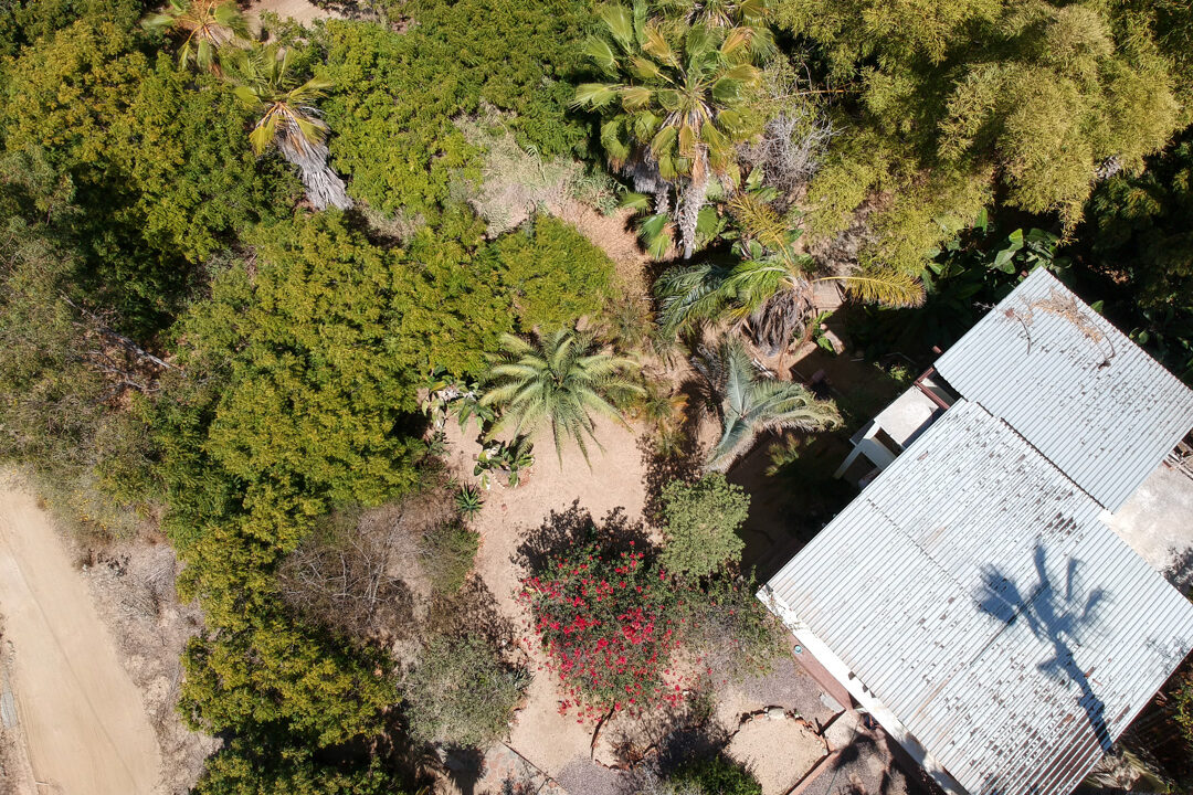 DCIM/100MEDIA/DJI_1976.JPG
