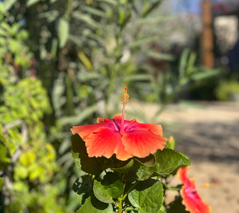Casa Vizcaino-09