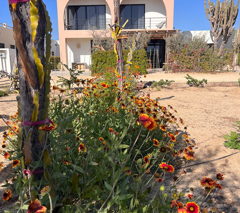 Casa Vizcaino-23