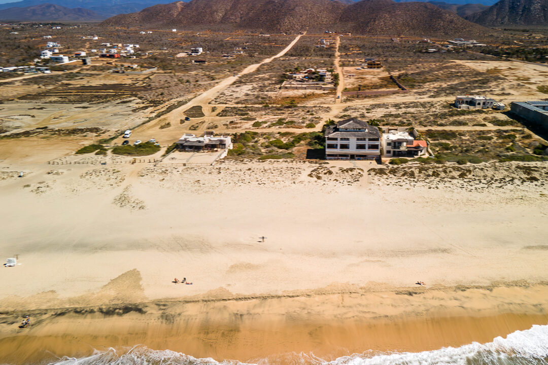 Tortugas 24-01