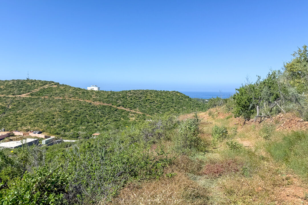 Double panoramic view lot-03