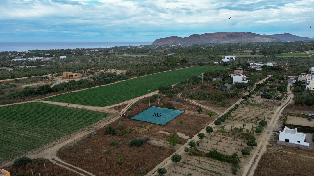 HH M-43 Lots 702 and 703-16